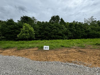 17 Freedom Estate Rd, Clarkson, KY 42726