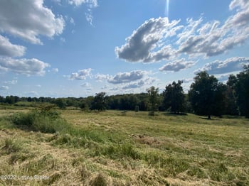 17 Tivitt Ln, Hardinsburg, KY 40143
