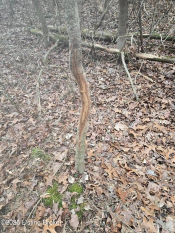 170 AC Wand Cemetery Rd, Bowling Green, KY 42101