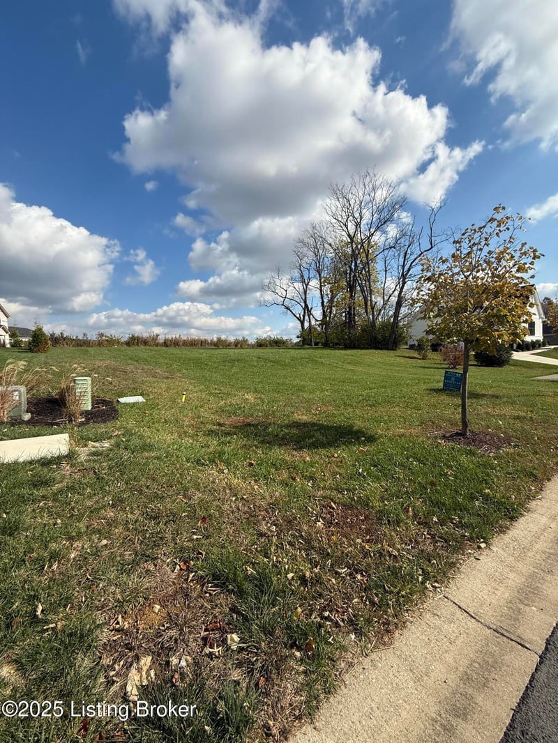 17703 Shakes Creek Dr, Fisherville, KY 40023