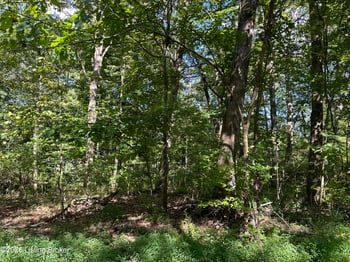 19 Clarktown Rd, New Haven, KY 40051