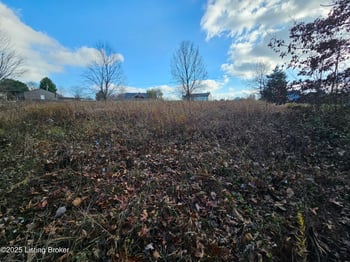 19 Kidwell Pike, Pendleton, KY 40055