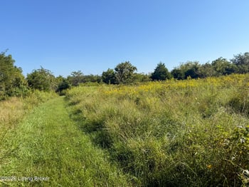 1900 Ritter Ln, Waddy, KY 40076