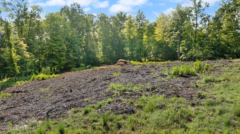 191 Lakeshore Dr, Leitchfield, KY 42754