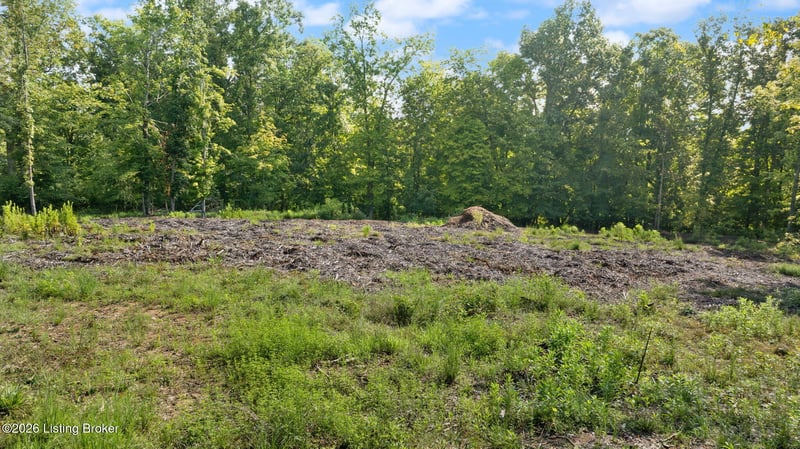 191 Lakeshore Dr, Leitchfield, KY 42754