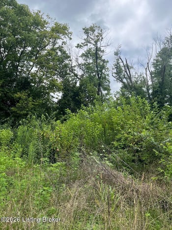 1935 Flood Rd, Shelbyville, KY 40065