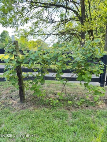 1948 Todds Point Rd, Simpsonville, KY 40067