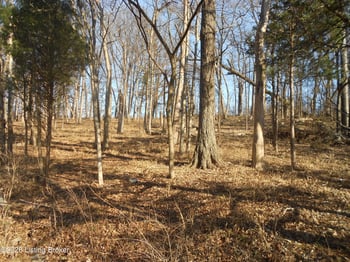 195 Sunset Dr, Bardstown, KY 40004