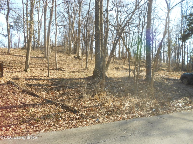 195 Sunset Dr, Bardstown, KY 40004