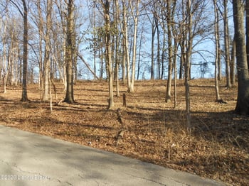 195 Sunset Dr, Bardstown, KY 40004