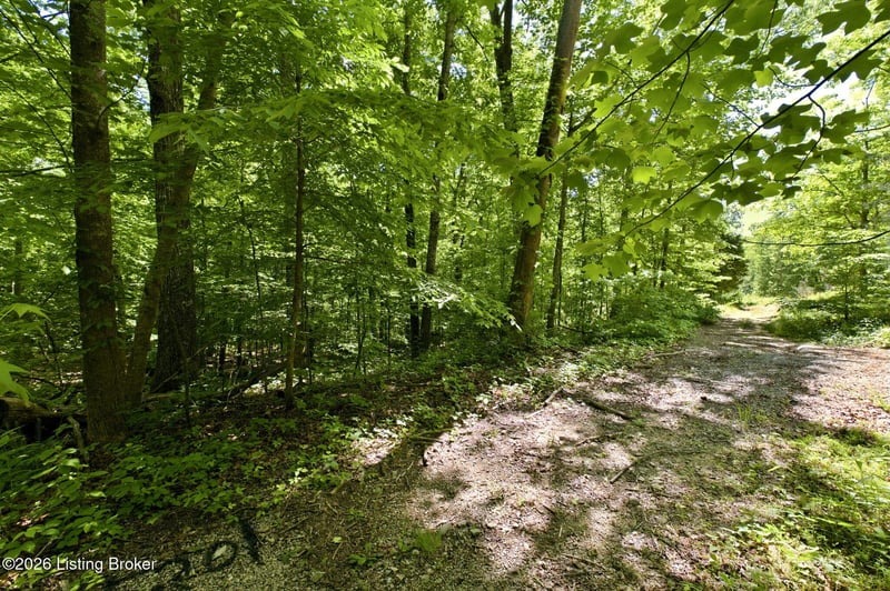 2 Ambassador Shores Dr, Leitchfield, KY 42754