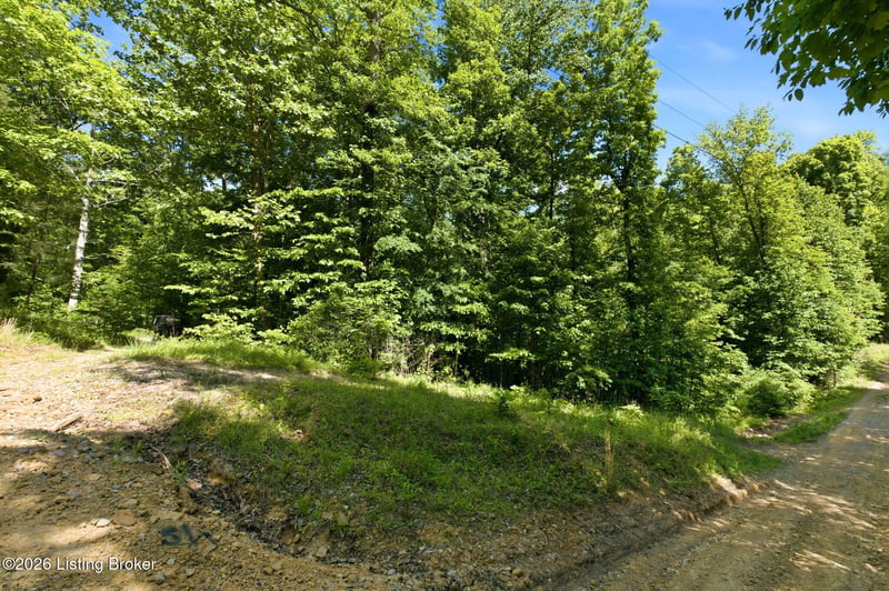 2 Ambassador Shores Dr, Leitchfield, KY 42754