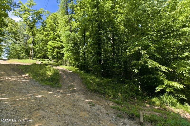 2 Ambassador Shores Dr, Leitchfield, KY 42754