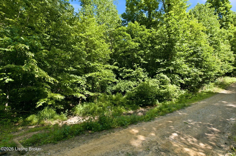 2 Ambassador Shores Dr, Leitchfield, KY 42754