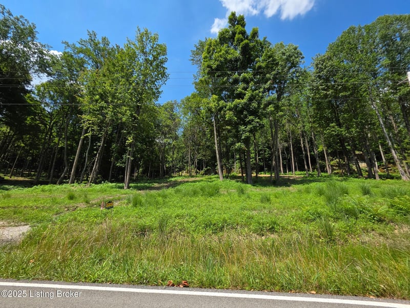 2 Cave Creek Rd, Falls Of Rough, KY 40119