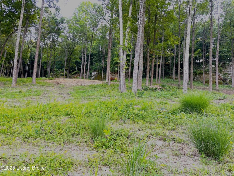 2 Cave Creek Rd, Falls Of Rough, KY 40119