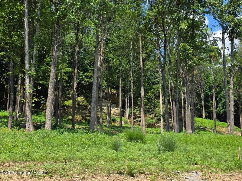 2 Cave Creek Rd, Falls Of Rough, KY 40119