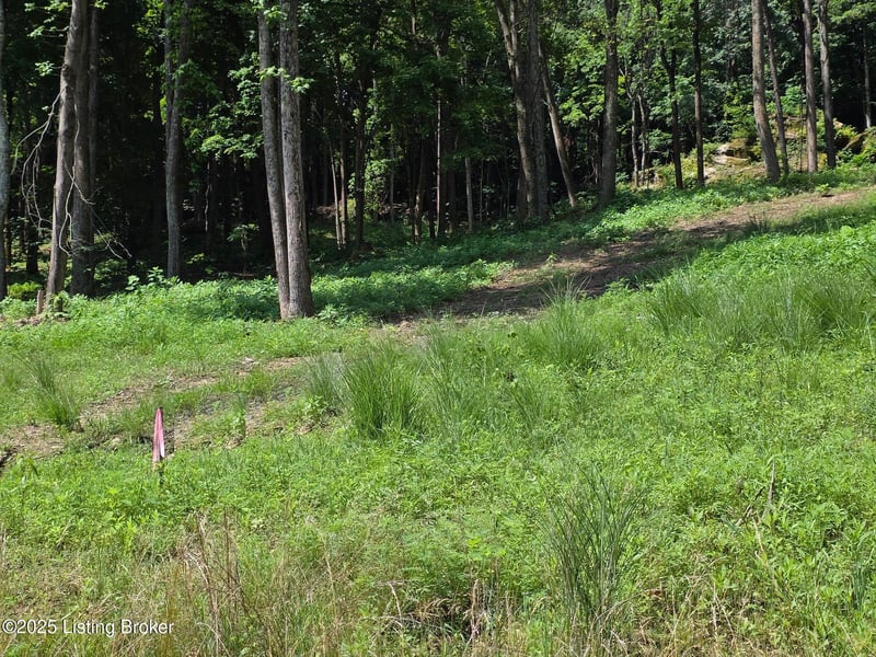 2 Cave Creek Rd, Falls Of Rough, KY 40119