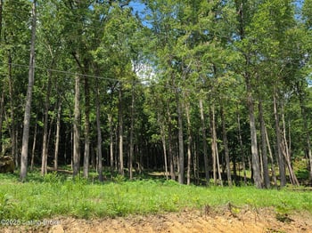 2 Cave Creek Rd, Falls Of Rough, KY 40119