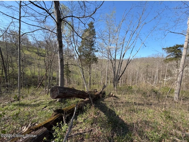 2 Cemetery Hill Rd, Bethlehem, KY 40007