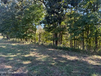2 Cemetery Hill Rd, Bethlehem, KY 40007
