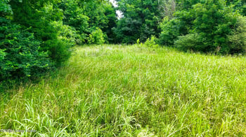 2 Ditney Hill Rd, Drakesboro, KY 42337
