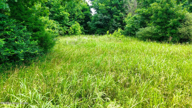 2 Ditney Hill Rd, Drakesboro, KY 42337
