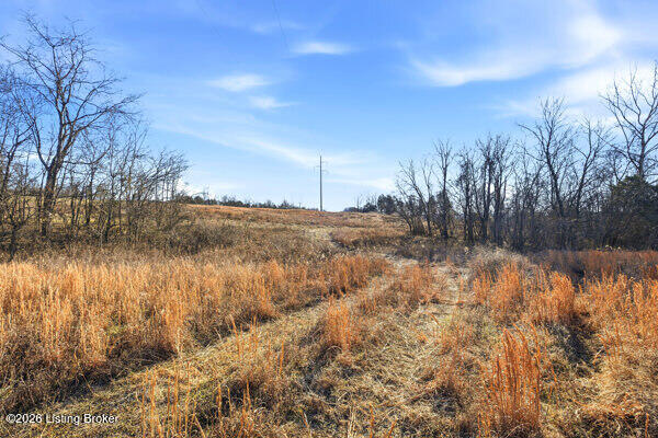 2-L Yoder Tipton Rd, Taylorsville, KY 40071