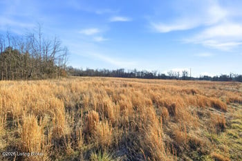 2-L Yoder Tipton Rd, Taylorsville, KY 40071