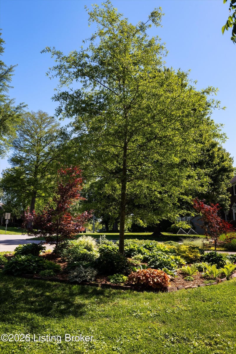 2020 Winston Ave, Louisville, KY 40205