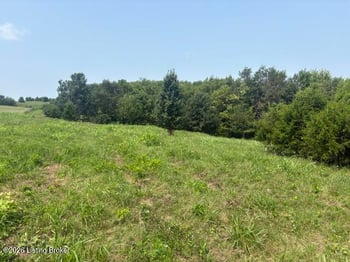 2051 Chaplin Taylorsville Rd, Bloomfield, KY 40008