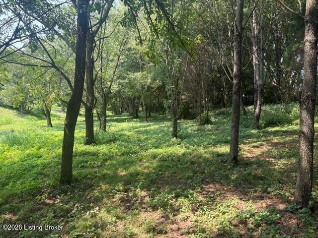 2051 Chaplin Taylorsville Rd, Bloomfield, KY 40008