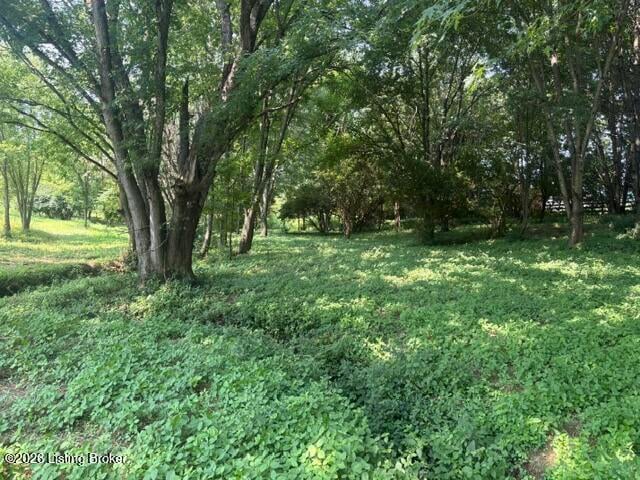 2051 Chaplin Taylorsville Rd, Bloomfield, KY 40008