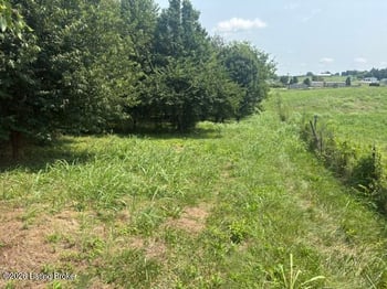 2051 Chaplin Taylorsville Rd, Bloomfield, KY 40008