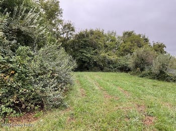 2100 Walnut Rd lot 14, La Grange, KY 40031