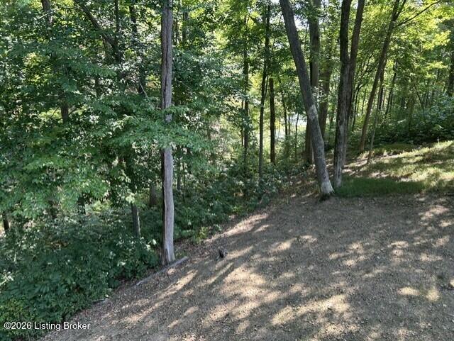 215 Carver Dr, Scottsville, KY 42164