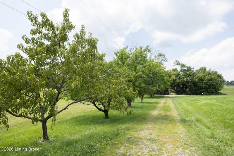 2164 Southville Pike, Shelbyville, KY 40065