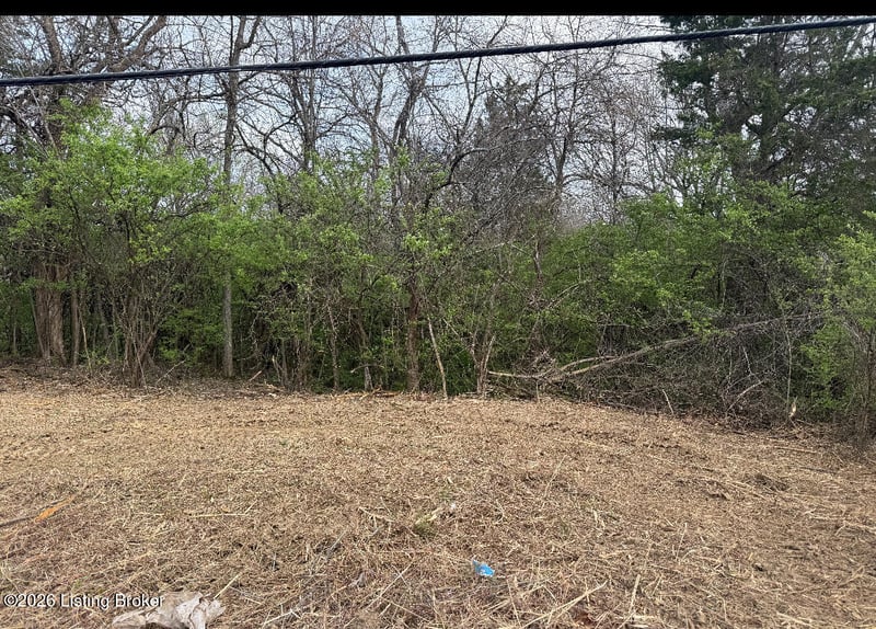 2303 Zhale Smith Rd, La Grange, KY 40031