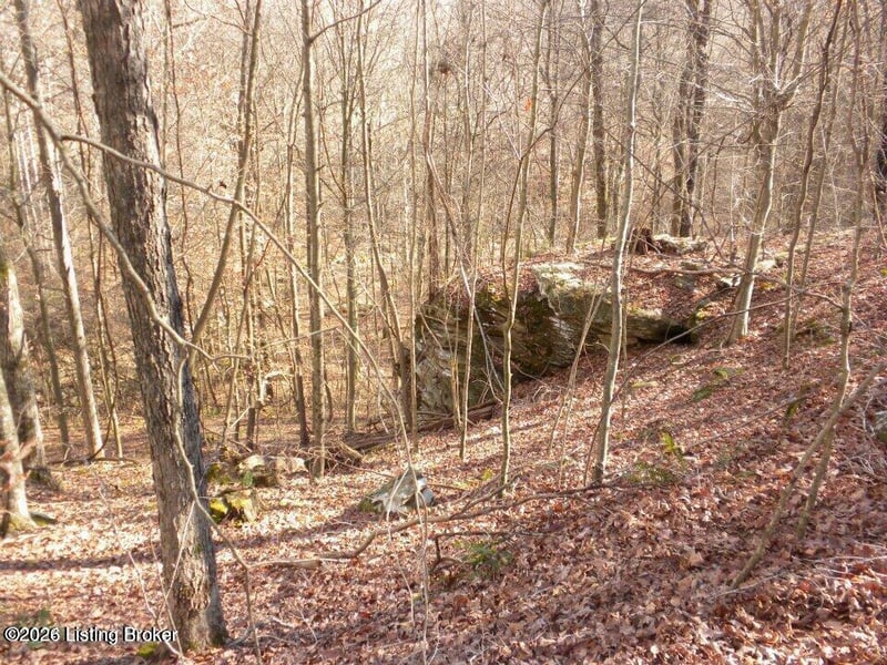 2409 Benleo Rd, Bowling Green, KY 42101