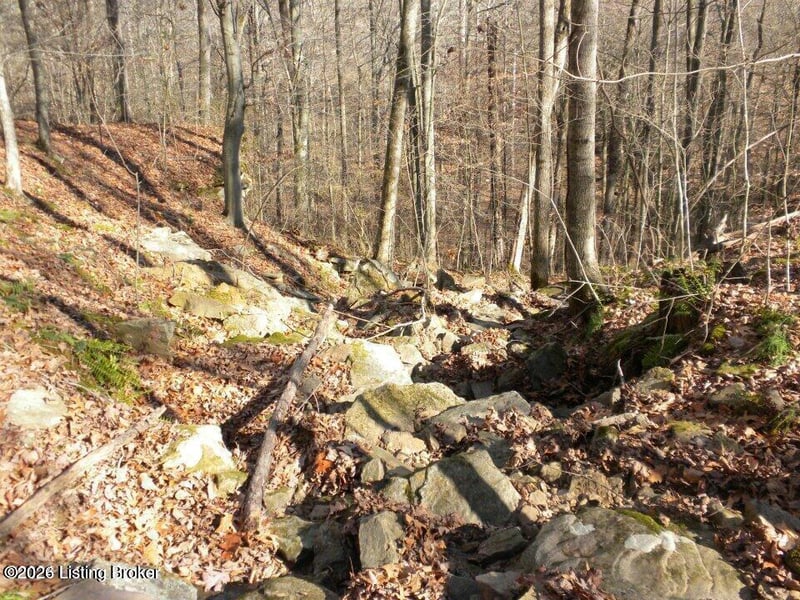 2409 Benleo Rd, Bowling Green, KY 42101