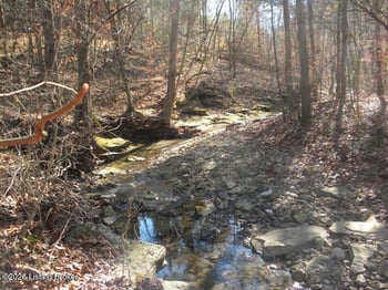 2409 Benleo Rd, Bowling Green, KY 42101