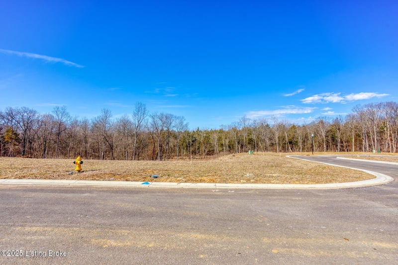 243 Catalpa Leaf Way, Fisherville, KY 40023