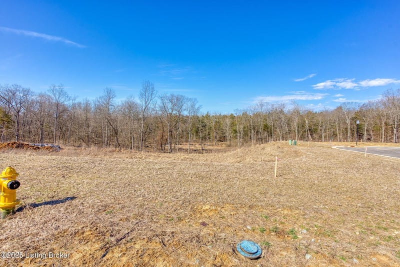 243 Catalpa Leaf Way, Fisherville, KY 40023