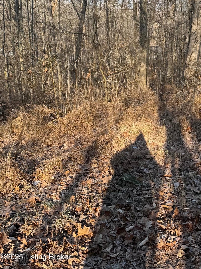 25 Tules Landing Ln, Mcdaniels, KY 40178