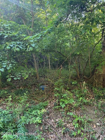 2502 Blevins Gap Rd, Louisville, KY 40272