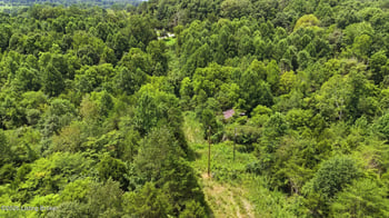 2540 Jim Clark Rd, New Haven, KY 40051