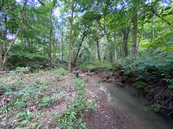 2551 Falls Of Rough Rd, Caneyville, KY 42721