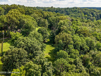 265 Longview Rd, Guston, KY 40142