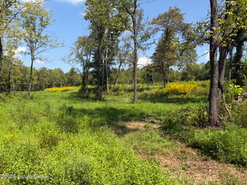2679 Carl Newby Rd, Falls Of Rough, KY 40119