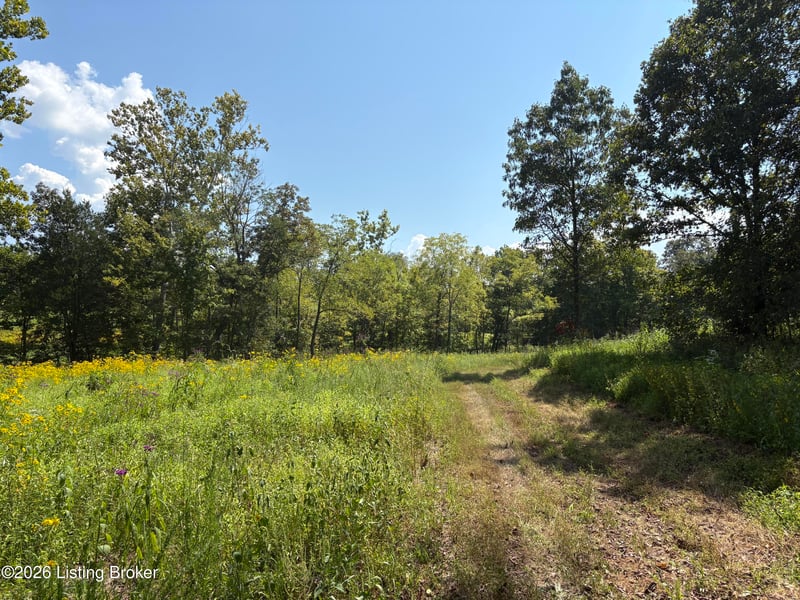2679 Carl Newby Rd, Falls Of Rough, KY 40119